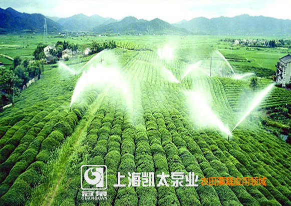 �r(n��ng)����